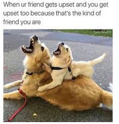 fronds meme|funny best friends meme.